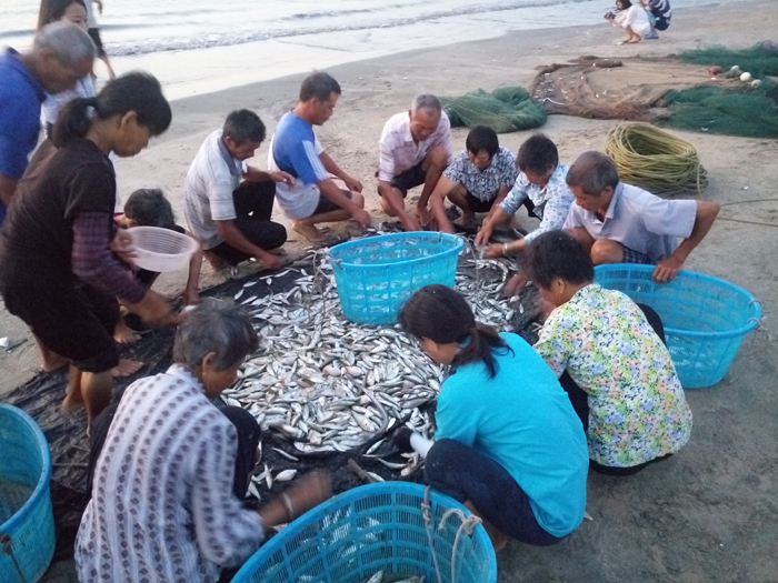 ��˾����